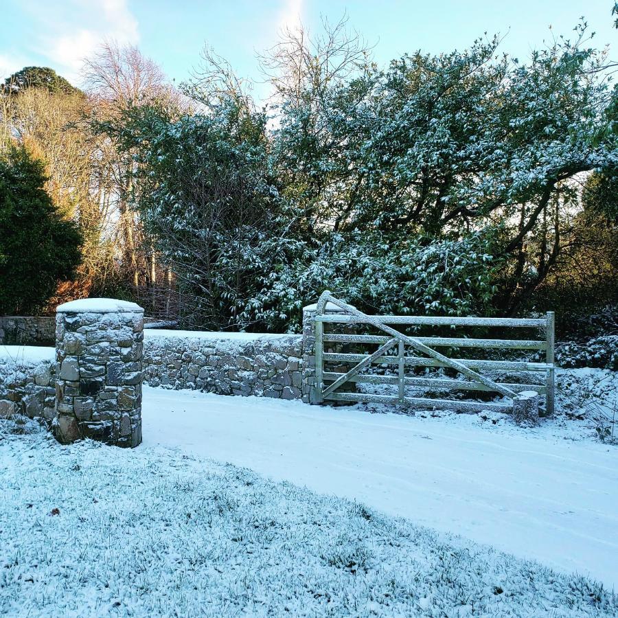 Bryansford Cottage Stables Extérieur photo